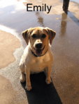 Emily.JPG