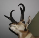 90_Lope_3.jpg