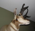 90_Lope_2.jpg