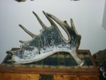 moose_shed_painting1.JPG