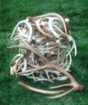 Shed_Pile_With_Elk_Sheds_2005.JPG