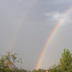 raynebow.jpg