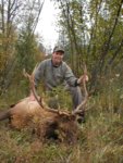 daves03elk1.JPG