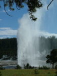 2004_0713yellowstone0229.JPG