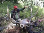 pahvant_2005elkhunt002.jpg