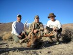 tule_elk_3_019.jpg