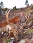 ELK1.JPG