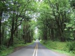Columbia_Gorge_Scenic_Byway_2.JPG