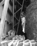 hay_barn_supports__2_.jpg