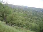 tejon_hills.jpg