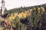 Fall_2003_Alpine_County_CA.jpg