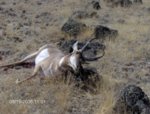 clearlake_81906_012_Richw.jpg
