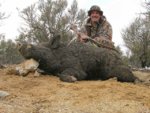 boar_caleb___kc_2_18_06_david_3_11_06_the_black_boar_13yds_025.jpg