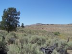 resized_landscape.jpg