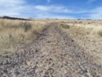 resized_road.jpg