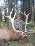 elk1.jpg