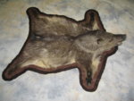 javelina_rug.jpg