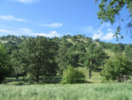 tejon_view2.jpg