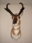 06_Lope_Mount1.JPG