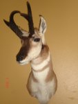 Florida_06_727.jpg