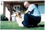 antelope1.jpg