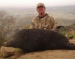 Archery_Hog_Tejon_feb_07_Resize.JPG