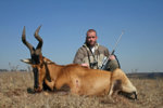 red_hartebeest_ryan.jpg