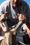 my_1st_antelope_pic_1.jpg