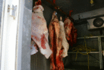 meat_locker_left_hand_side.gif