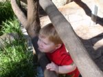 JT_at_the_zoo_pic.JPG