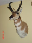 DSC02258.JPG