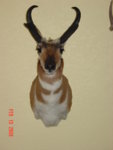 DSC02257.JPG