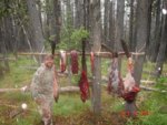 Montana_Elk_Trip_2005_056.jpg