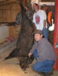 Big_hog.jpg