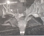 2002_Aroostook_Buck.jpg