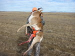 dad_antelope_packout_2.jpg