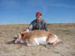 doe_antelope.jpg