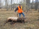 Copy_of_elk.jpg