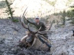 gregs_08_idaho_bull.jpg