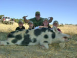 Tupen_Pig_4_edited_1.jpg