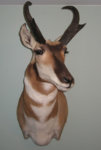 mount.jpg