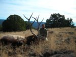 2008elk.JPG