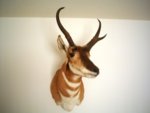 DSC08017a.JPG