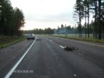 Elk Car Accident 4.jpg