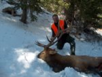 09 co elk small.jpg