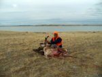 09 mt goat small.jpg