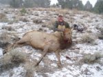 Randy's Elk.JPG