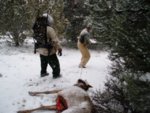 Dragging Randy's elk.JPG