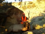Elk Hunt 2009 006.jpg