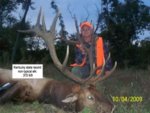 KY Elk.jpg